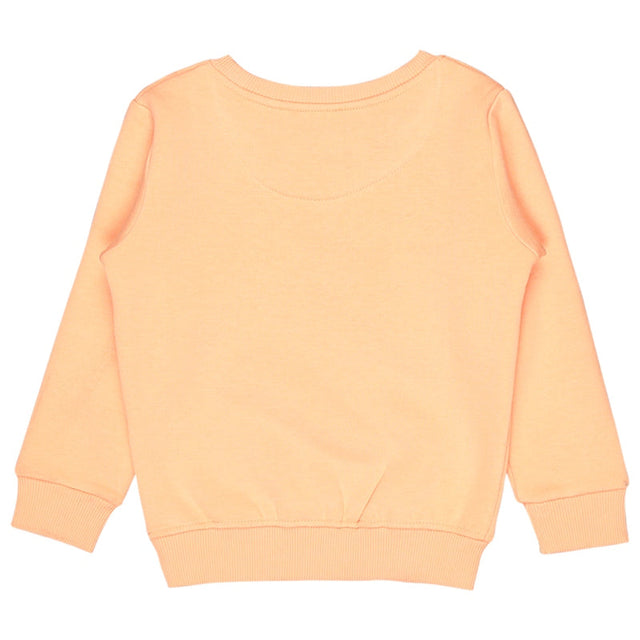 Baby Girls Sweatshirt Round Neck Full Sleeves - Bodycare