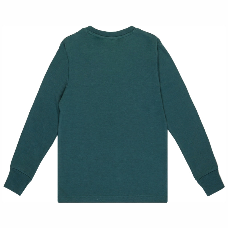 Bodycare Boys Round Neck Full Sleeves Tshirt