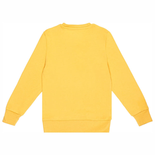 Boys T-Shirt Round Neck Full Sleeves - Bodycare