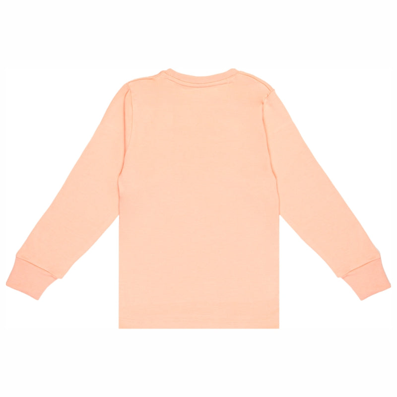 Bodycare Boys Round Neck Full Sleeves Solid Tshirt