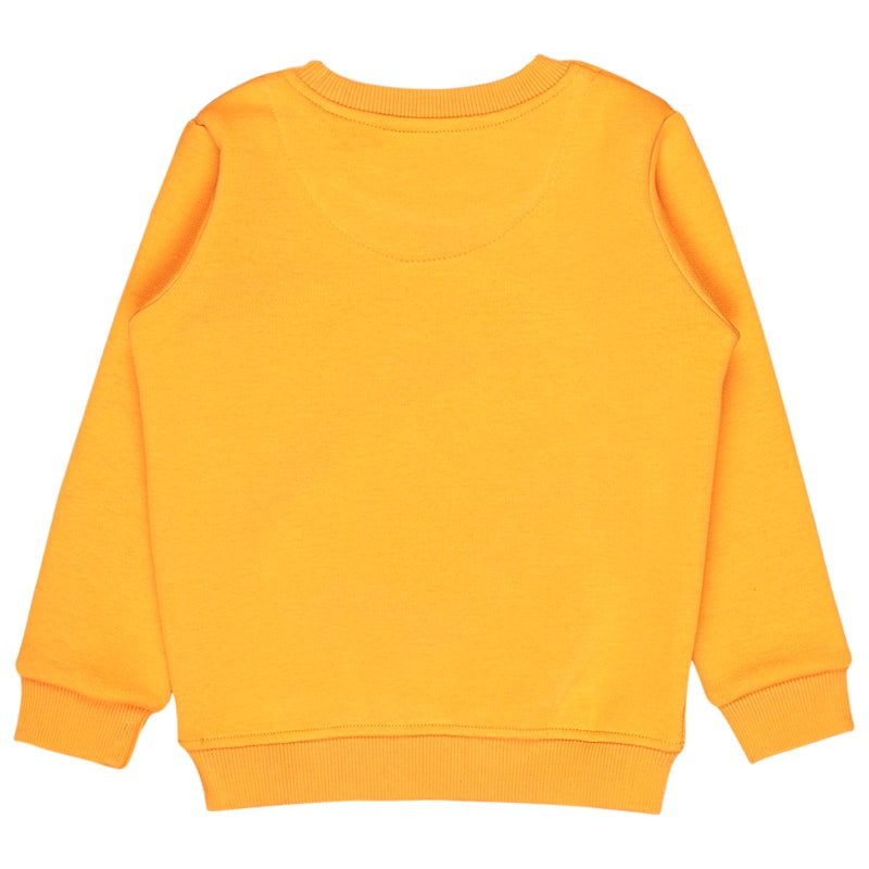 Bodycare Boys Fleece Round Neck Full Sleeves Printed Sweat Shirt