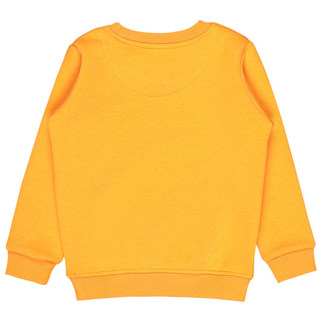 Baby Boys Sweatshirt Round Neck Full Sleeves - Bodycare