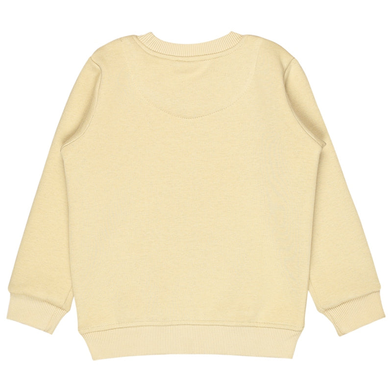 Bodycare Boys Fleece Round Neck Full Sleeves Printed Sweat Shirt