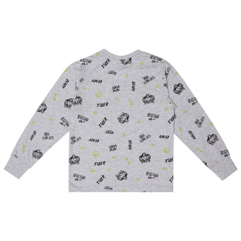 Boys Printed Round Neck Full Sleeve T-Shirt for Comfortable Casual Wear, Easy Coverage and Regular Wardrobe Use - Pack of 1
