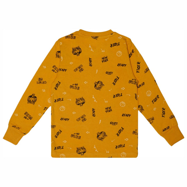 Boys Printed Round Neck Full Sleeve T-Shirt for Comfortable Casual Wear, Easy Coverage and Regular Wardrobe Use - Pack of 1