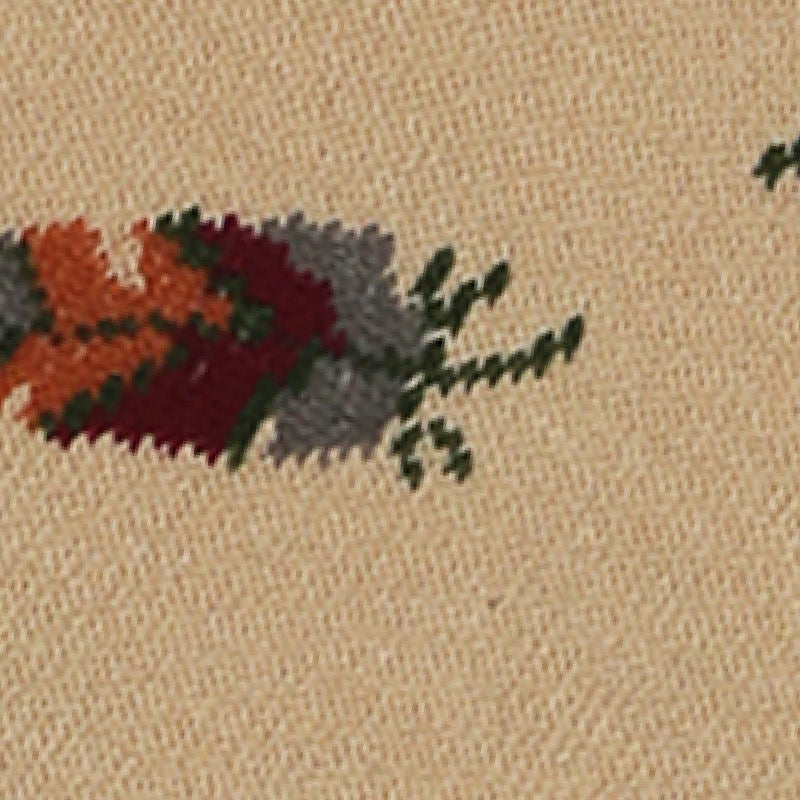 Bodycare Womens Solid Ankle Length Socks Pack Of