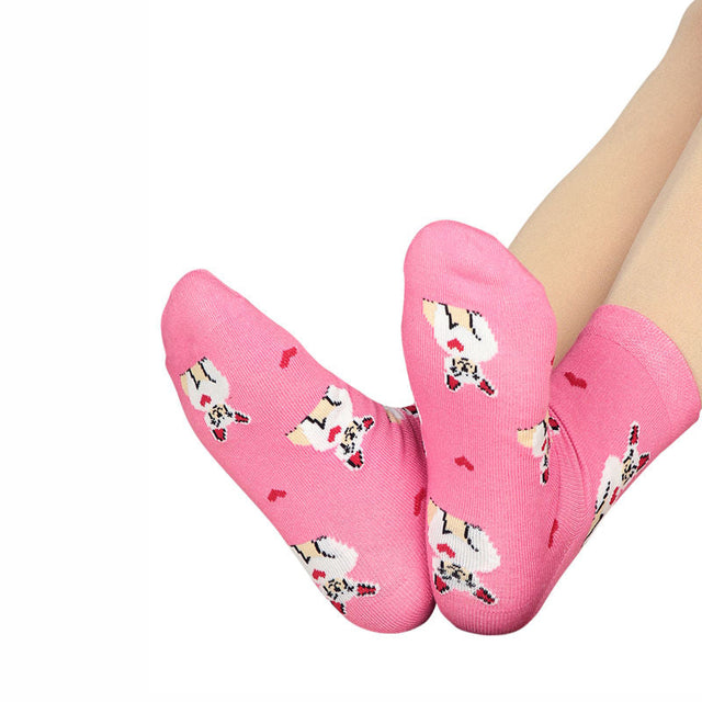 Women Cotton Spandex Socks Stretch Pack of 3 - Bodycare