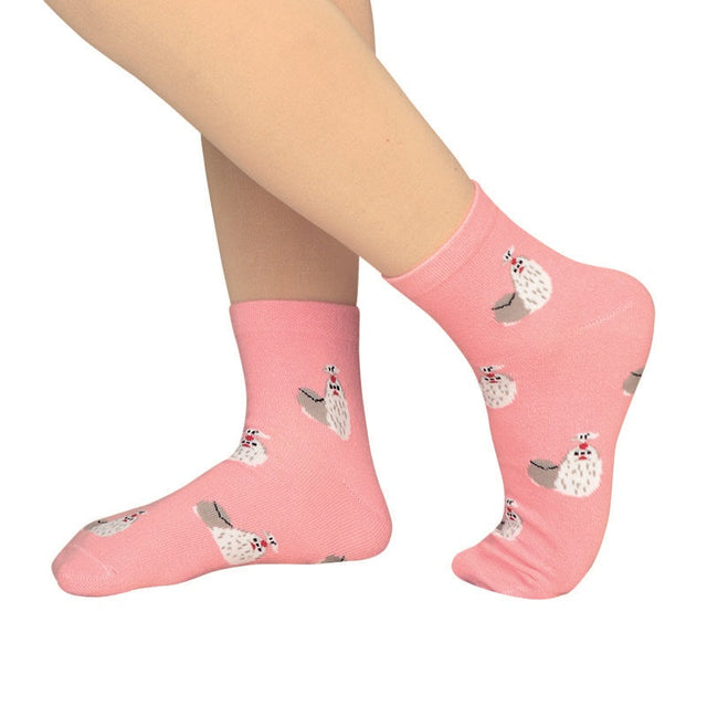 Women Cotton Spandex Socks Stretch Pack of 3 - Bodycare