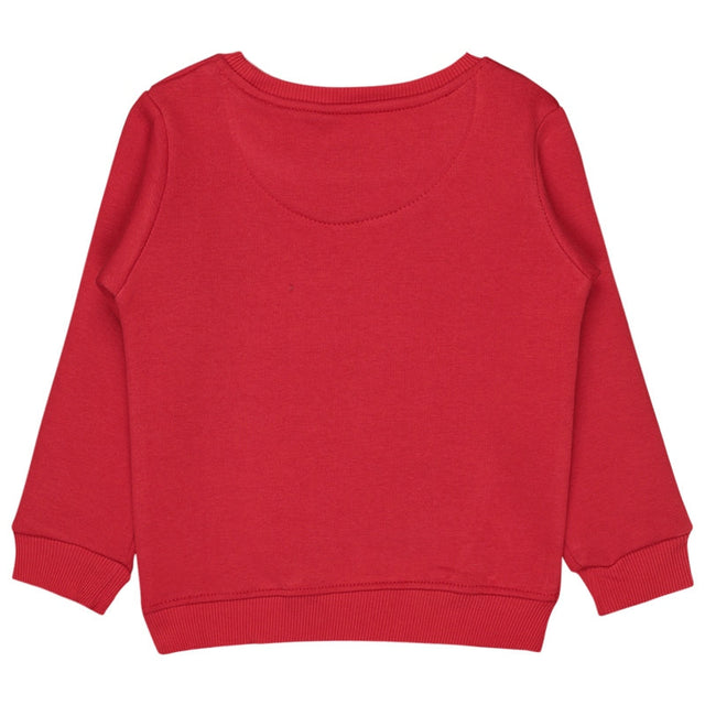 Baby Girls Sweatshirt Round Neck Full Sleeves - Bodycare