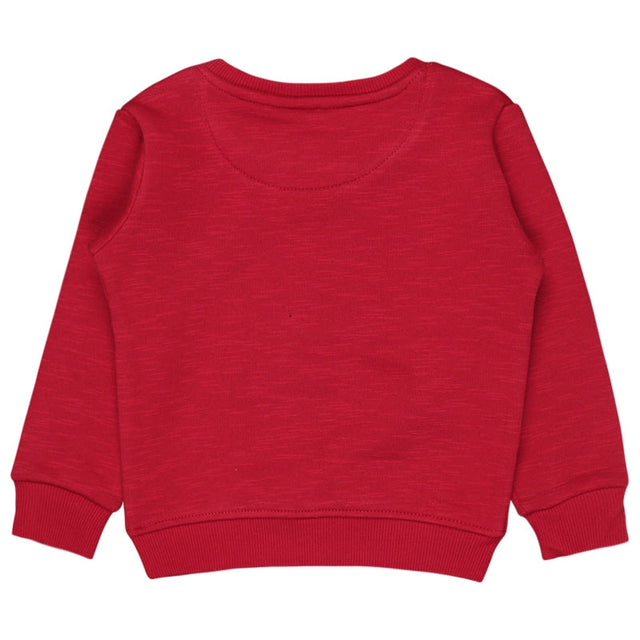Baby Girls Sweatshirt Round Neck Full Sleeves - Bodycare