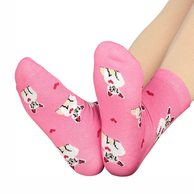 Bodycare Womens Mid Calf Printed Socks Pack Of 2