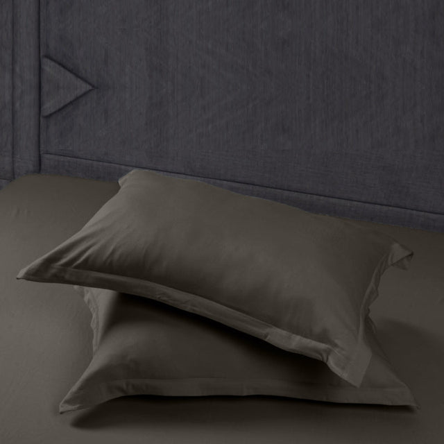 Single Cotton Fitted Bedsheet Anchor Print - Bodycare