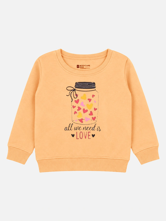 Baby Girls Round Neck Full Sleeve Sweatshirt for Everyday Casual Wear, Easy Comfort and Wardrobe Styling