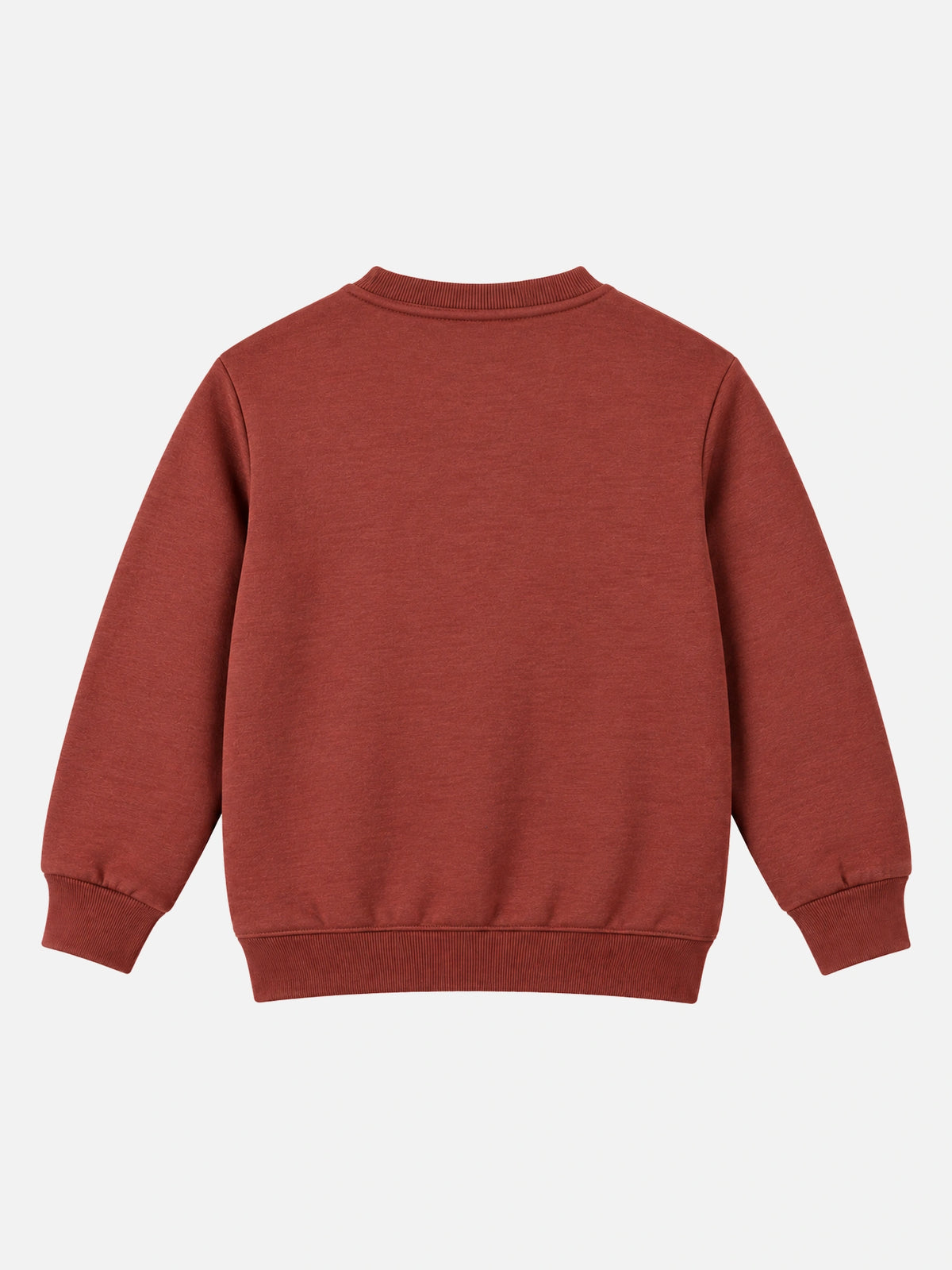 Boys Round Neck Full Sleeves Sweatshirt for Casual Wear, Lounge Comfort, Easy Movement and Regular Wardrobe Use