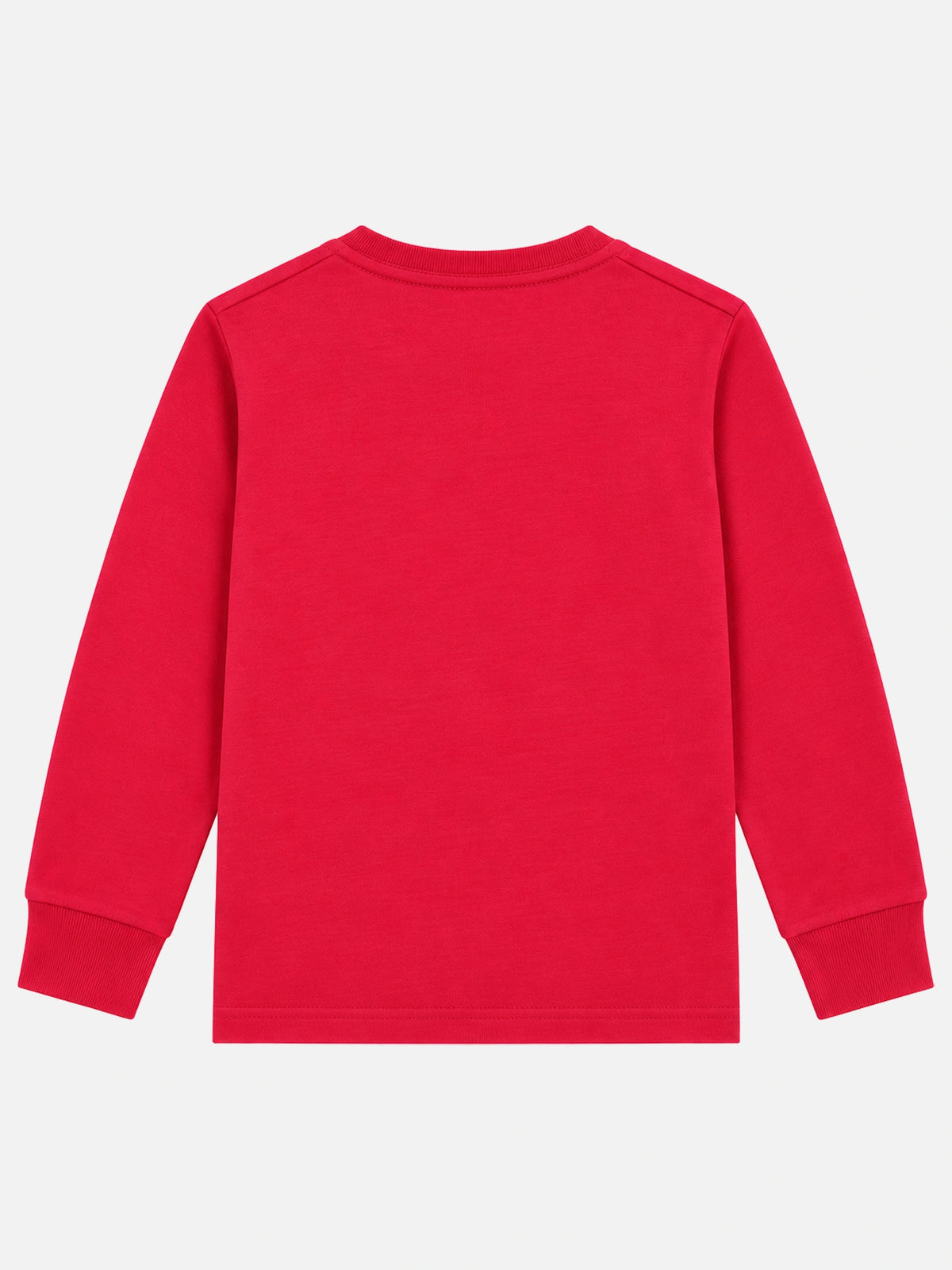 Girls Round Neck Full Sleeve T-Shirt for Casual Wear, Comfortable Coverage and Regular Wardrobe Use - Pack of 1
