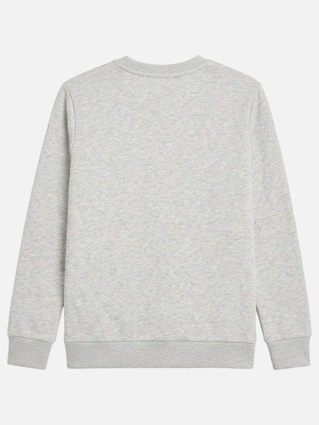 Girls Princess Printed Round Neck Sweatshirt with Full Sleeves for Casual Outfits and Everyday Comfort
