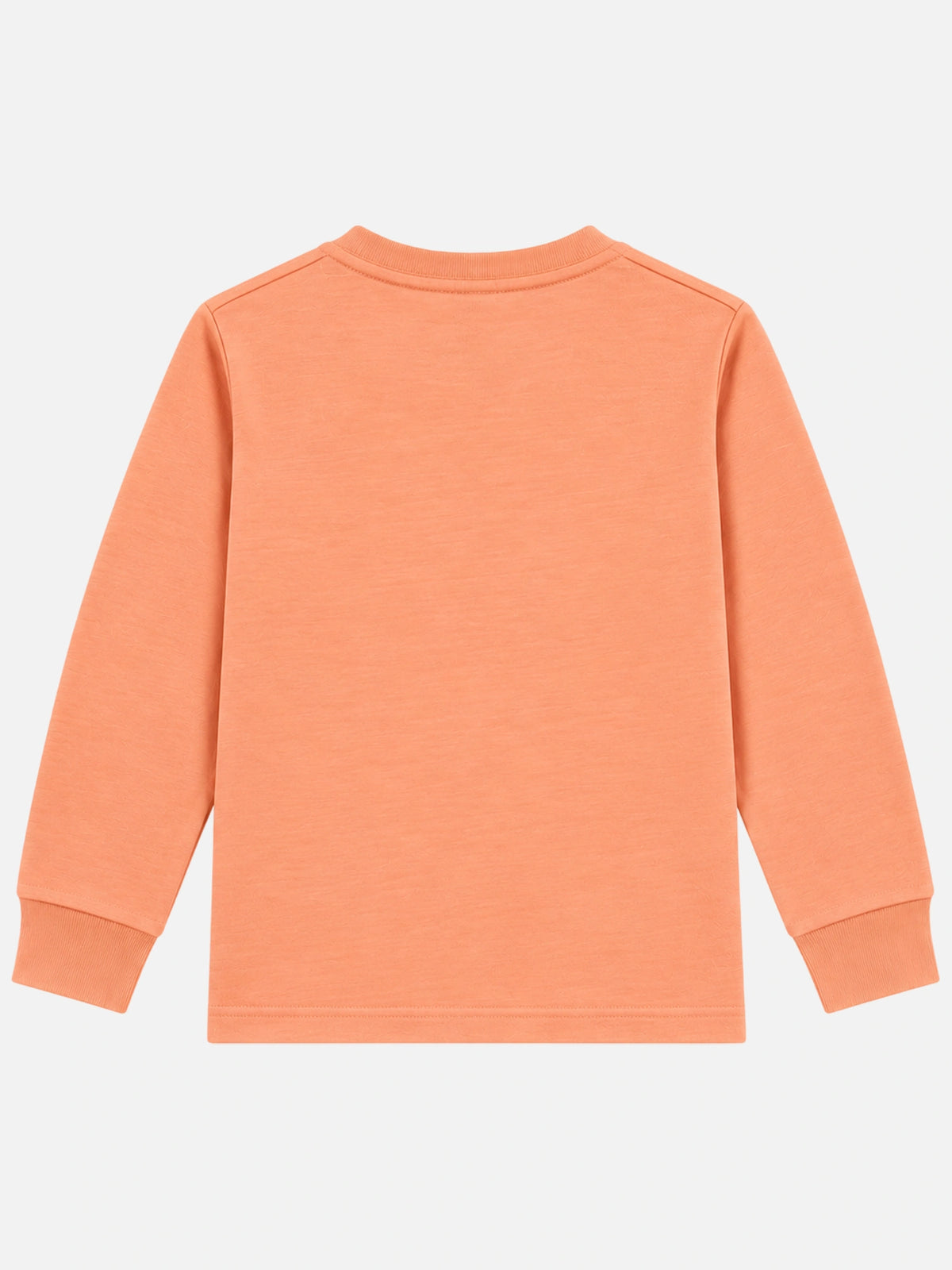 Girls Round Neck Full Sleeve T-Shirt for Casual Wear, Comfortable Coverage and Regular Wardrobe Use - Pack of 1