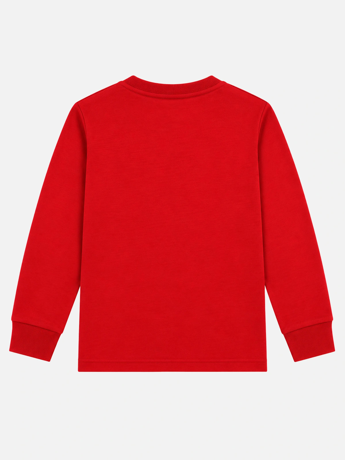 Girls Round Neck Full Sleeve T-Shirt for Casual Wear, Comfortable Coverage and Regular Wardrobe Use - Pack of 1
