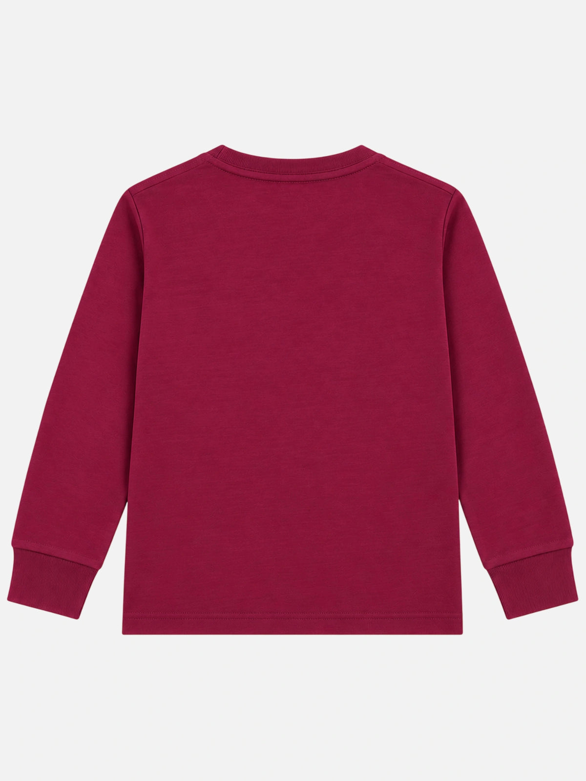 Girls Round Neck Full Sleeve T-Shirt for Casual Wear, Comfortable Coverage and Regular Wardrobe Use - Pack of 1