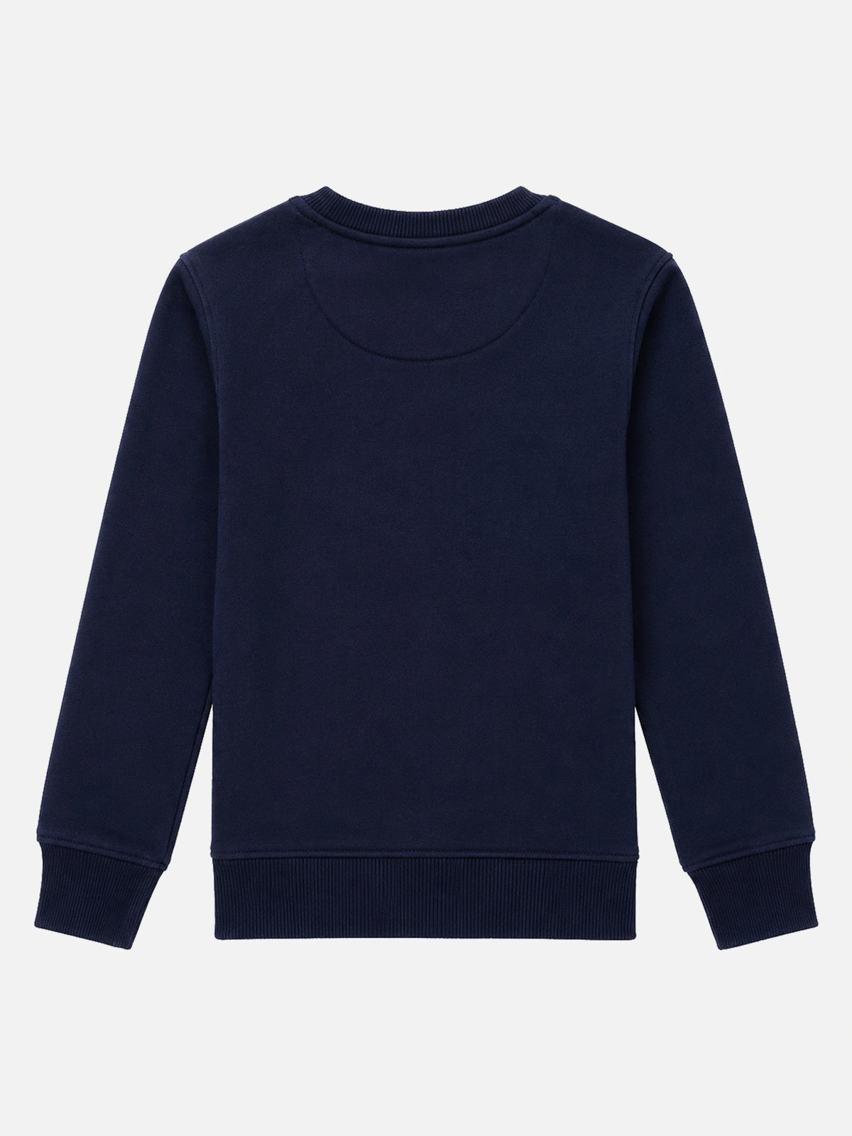 Boys Fleece Round Neck Full Sleeve Sweatshirt for Cozy Winter Wear, Casual Comfort and Everyday Wardrobe Styling - Pack of 1