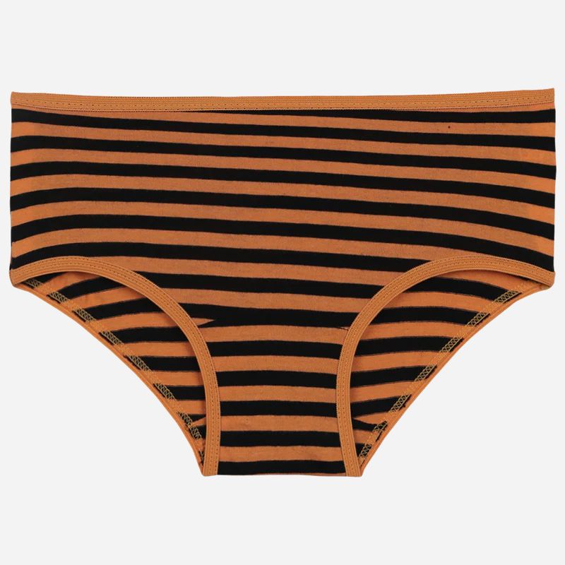 Bodycare Girls Cotton Panty Stripe Pack Of 6