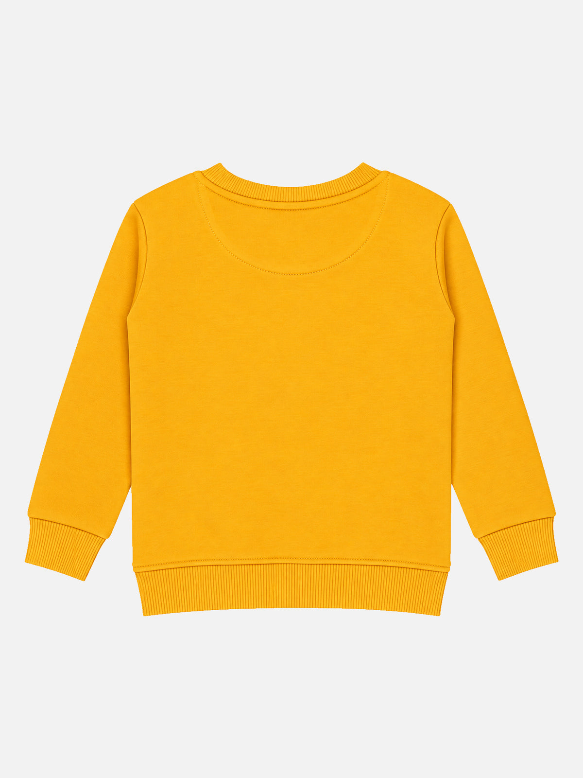 Baby Boys Round Neck Full Sleeve Sweatshirt for Regular Casual Wear, Comfortable Styling and Wardrobe Use