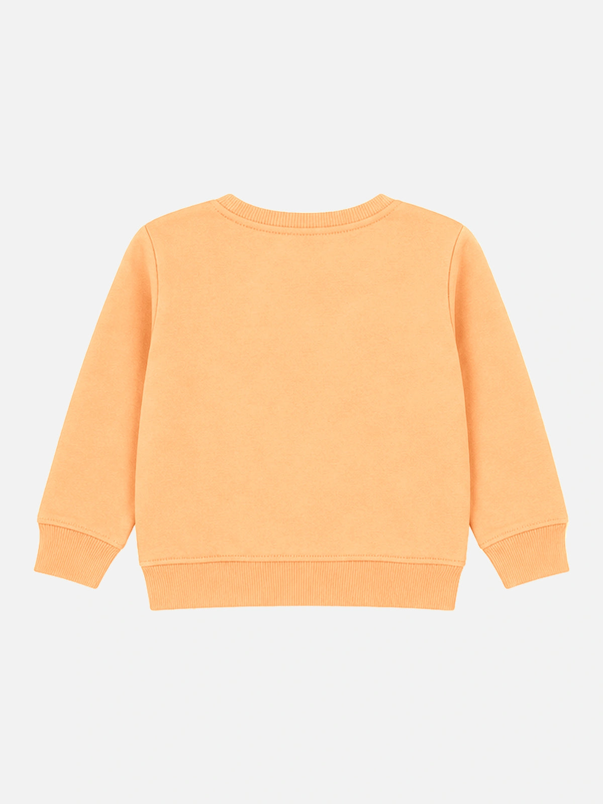 Baby Girls Round Neck Full Sleeve Sweatshirt for Everyday Casual Wear, Easy Comfort and Wardrobe Styling