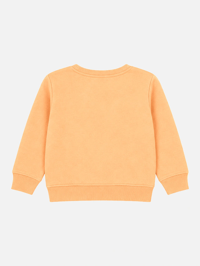 Baby Girls Round Neck Full Sleeve Sweatshirt for Everyday Casual Wear, Easy Comfort and Wardrobe Styling