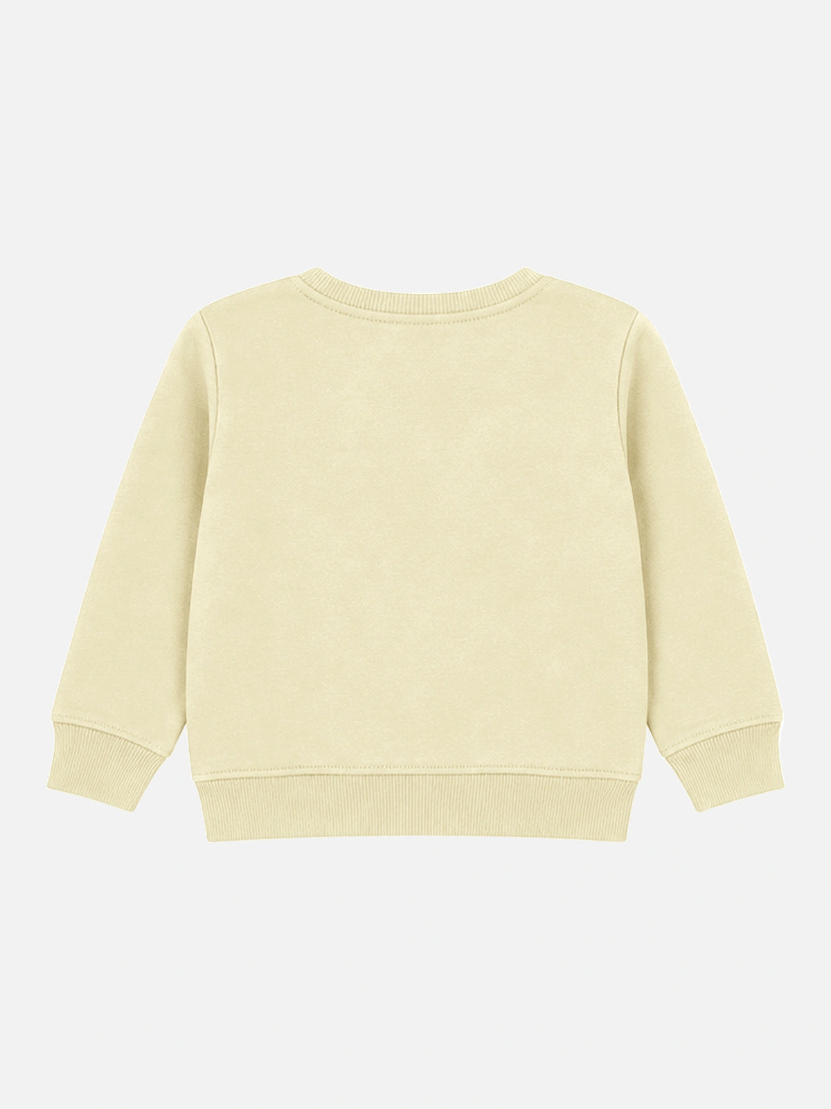 Baby Boys Printed Round Neck Full Sleeve Sweatshirt for Casual Comfort, Everyday Styling and Easy Playtime Movement