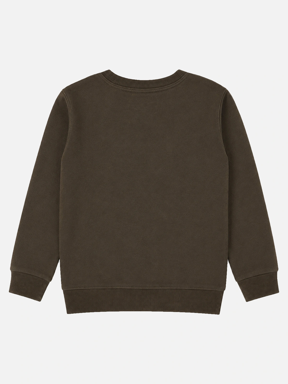 Baby Boys Printed Round Neck Full Sleeve Sweatshirt for Easy Winter Styling, Casual Wear and Comfortable Movement