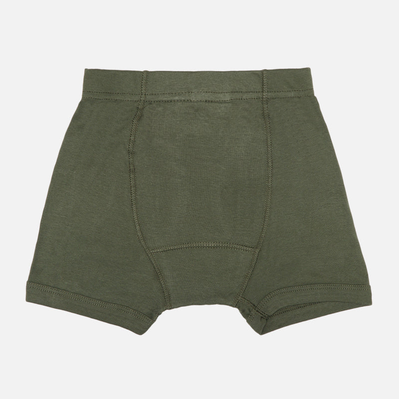 Bodycare Boys Solid Trunks Pack Of 2