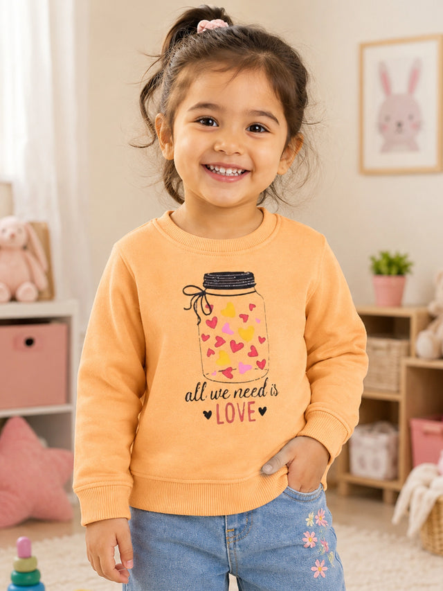Baby Girls Round Neck Full Sleeve Sweatshirt for Everyday Casual Wear, Easy Comfort and Wardrobe Styling