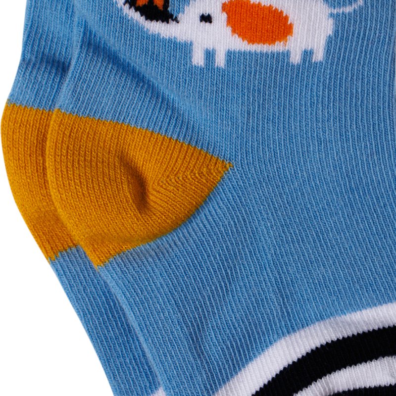 Bodycare Boys Socks Pack Of 3