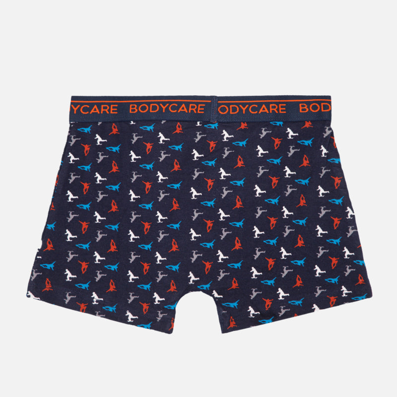 Bodycare Boys Trunks Navy & Anthra Melange Pack Of 2