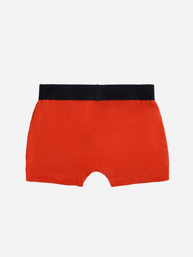 Boys Cotton Trunk with Top Elastic for Everyday Innerwear Comfort and Multipack Wardrobe Use - Pack of 3