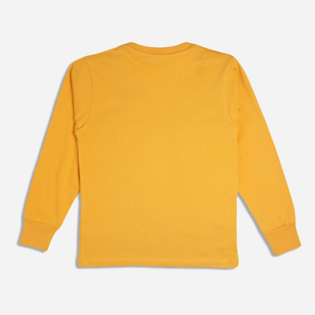 Boys Cotton Graphic T-Shirt with Round Neck Full Sleeves for Everyday Casual Wear and Comfortable Layering
