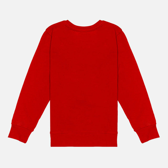Girls Round Neck Full Sleeve T-Shirt for Casual Wear, Everyday Comfort and Regular Wardrobe Use - Pack of 1