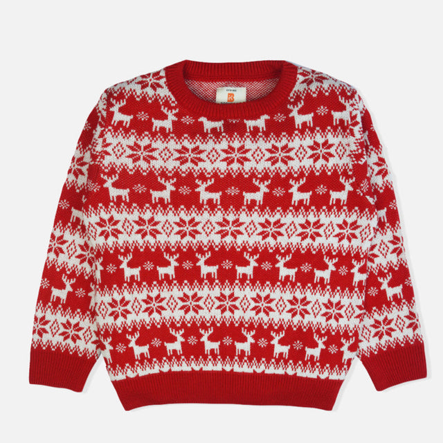 Girls Sweater Round Neck Full Sleeves - Bodycare