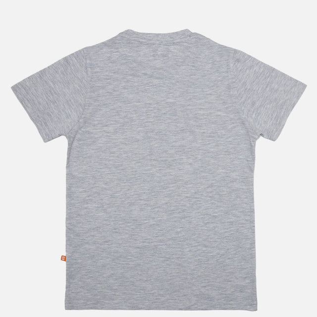 Boys 100% Cotton Printed T-Shirt with Half Sleeves for Casual Wear, Everyday Comfort and Easy Styling