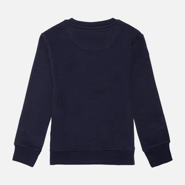 Boys Fleece Round Neck Full Sleeve Sweatshirt for Cozy Winter Wear, Casual Comfort and Everyday Wardrobe Styling - Pack of 1