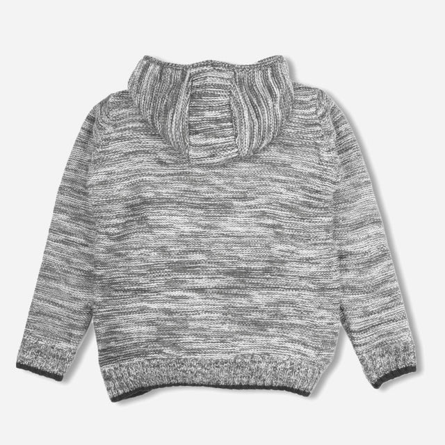 Boys Polyester Blend Hooded Full Sleeves Sweater with Comfortable Winter Wear Styling and Regular Use