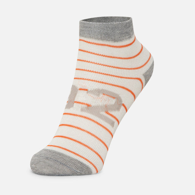 Boys Ankle Length Cotton Blend Socks Pack of 4 - Bodycare