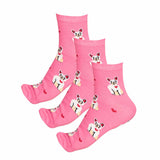 Bodycare Womens Solid Ankle Length Socks Pack Of