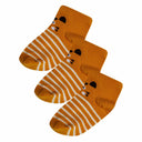 Bodycare Girls Printed Socks Pack Of 3