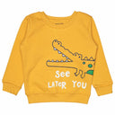 Baby Boys Round Neck Full Sleeves Sweatshirt for Casual Wear, Lounge Comfort and Everyday Wardrobe Use