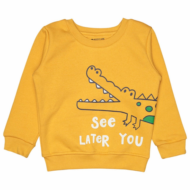 Baby Boys Round Neck Full Sleeves Sweatshirt for Casual Wear, Lounge Comfort and Everyday Wardrobe Use