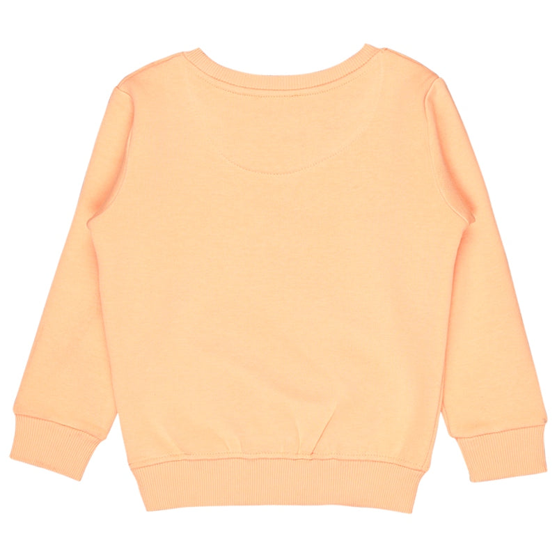 Baby Girls Sweatshirt Round Neck Full Sleeves - Bodycare