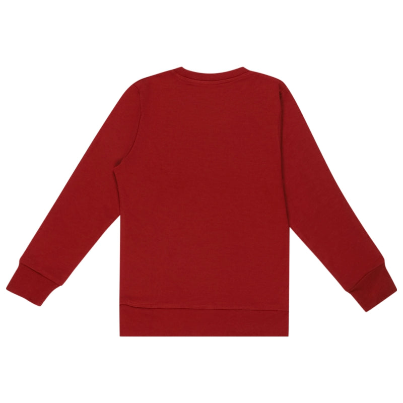 Boys T-Shirt Round Neck Full Sleeves - Bodycare