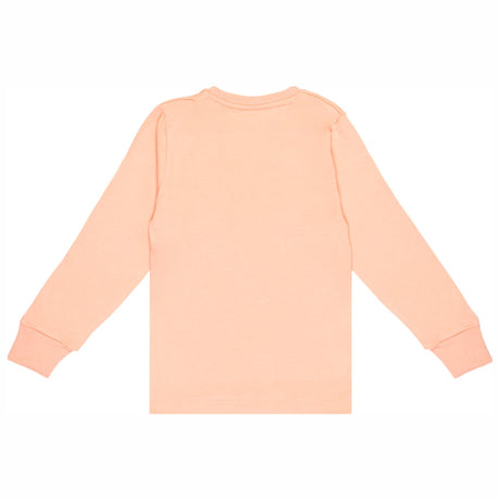 Bodycare Boys Round Neck Full Sleeves Solid Tshirt