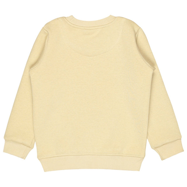 Baby Boys Sweatshirt Round Neck Full Sleeves - Bodycare